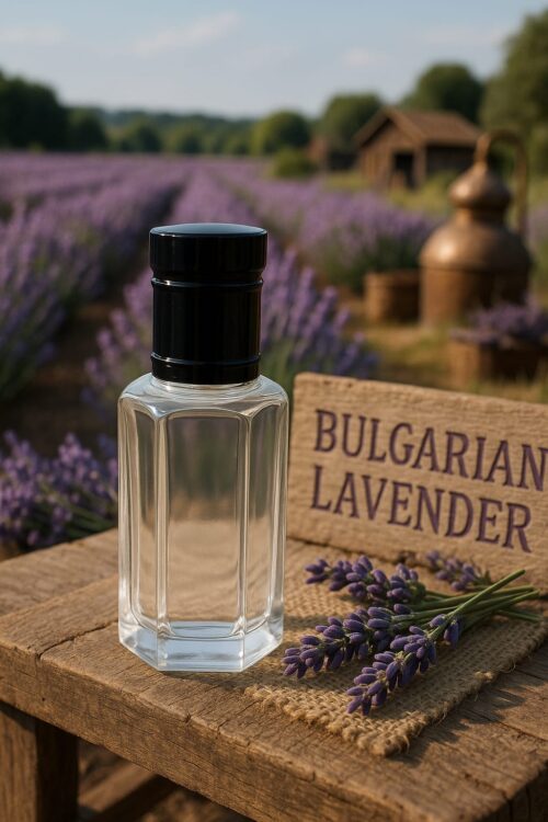bulgarian lavender